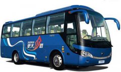 33 luxury buses