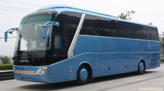  45 buses